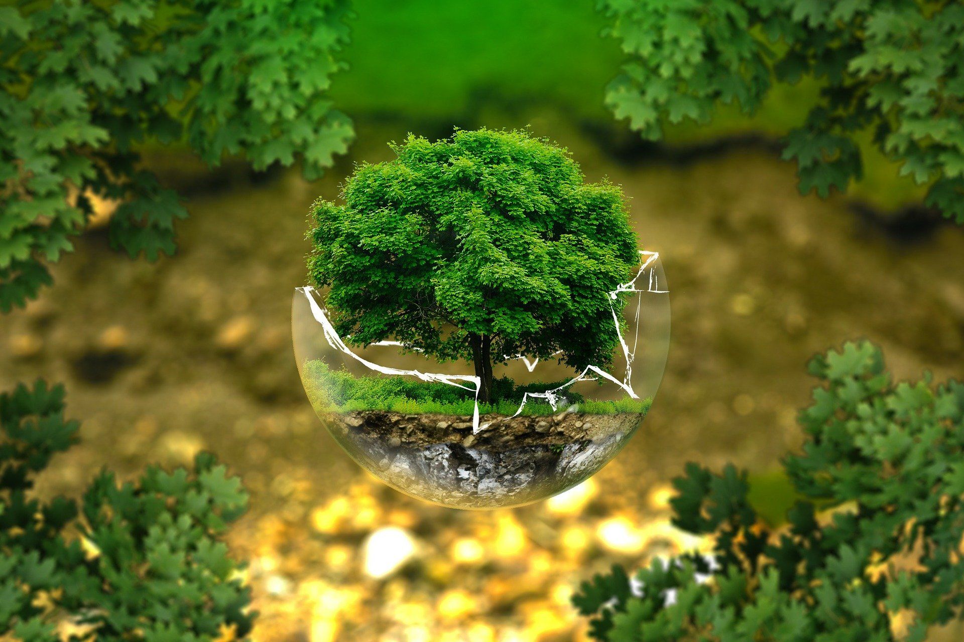 Limpieza ecológica